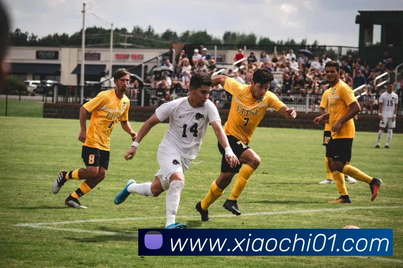 mksports体育赛事直播平台生态图